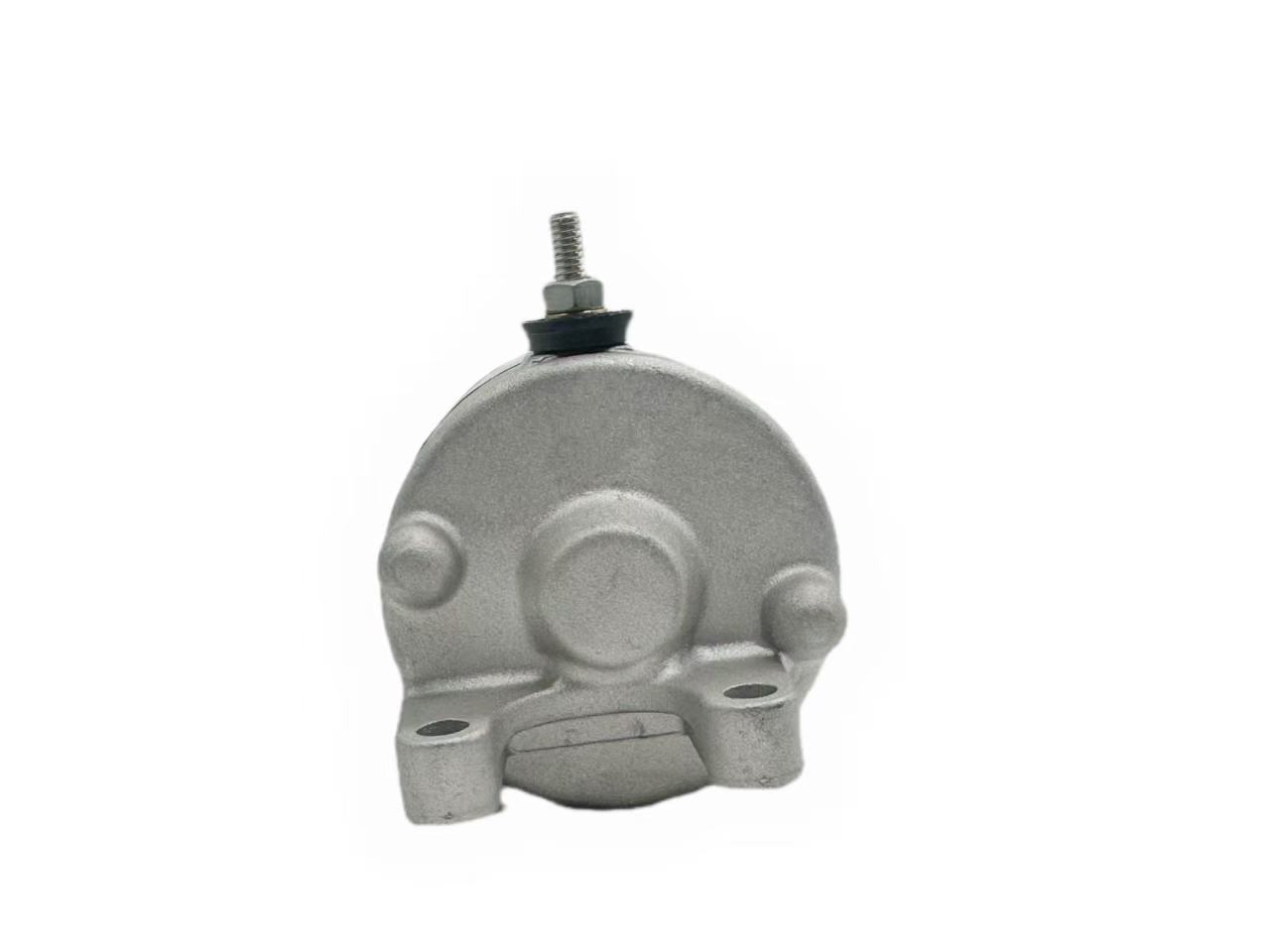 31200-Hn1-A41 Starter Motor Is Suitable for Hondaatv Fourtrax Sport 400 Starter