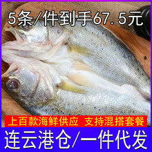 ���r���|�~�_���r���ك����׽��|�~��������R�~���~���Ʒ���r