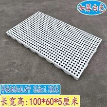 墊板網格板家用墊板地台板倉庫地墊批冷庫超市物流托盤防潮板塑料