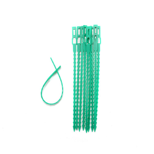 Manufacturer Direct Sales Multi-purpose Fishbone Green Garden Binding Tape Garden Cord Binding String Binding