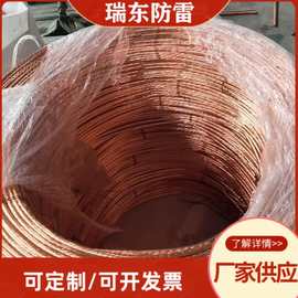 铜包钢绞线 防雷接地引下线 多股镀铜钢裸绞线 绝缘钢绞线