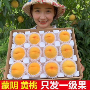 Huang Tao Fruit Shandong Golden Peach Meng Yin Fresh и хрустящие сладкие женщины должны быть сезонными великолепными большими волосами персик