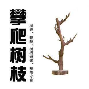 ��Ȼ��ľ�䗫������֦�޽��،m�����������������쾰֧��վ�U��