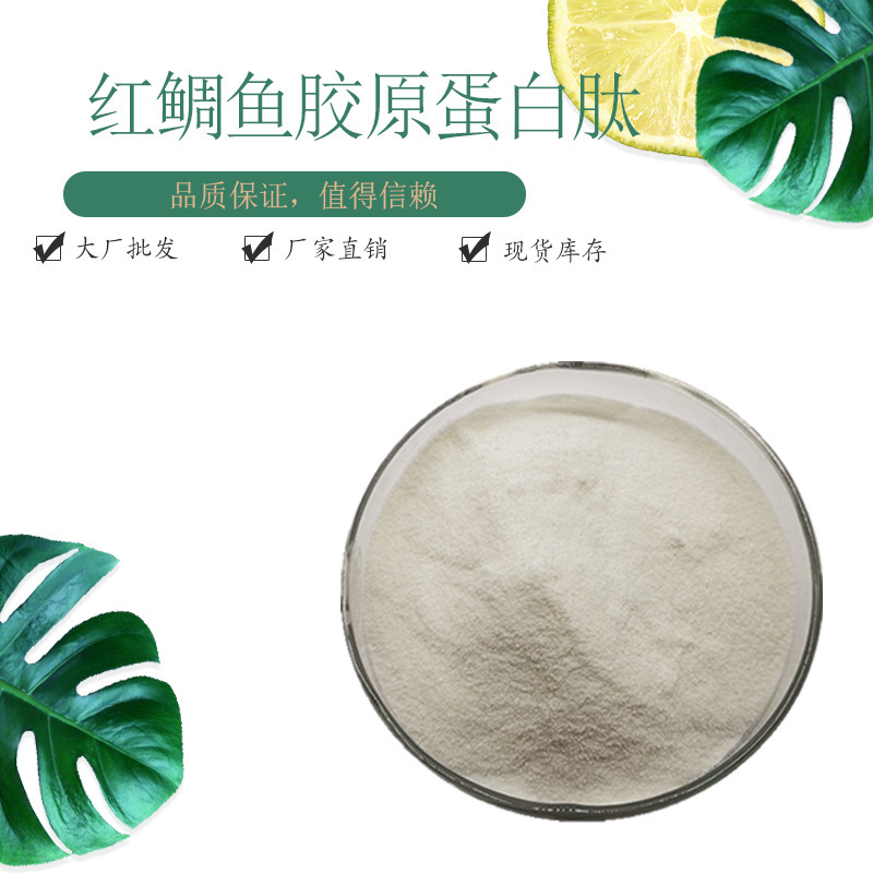 Red Snapper Collagen Peptide 99% Raw Material Red Snapper Small Molecule Collagen Peptide Powder 1kg Red Snapper Collagen Peptide 99% Raw Material Red Snapper Small Molecule Collagen Peptide Powder 1kg