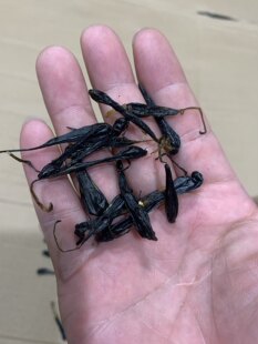 �r��đ �岽��đ 10���b���R��đ ����ɽ���R��đ��