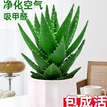 �J�C�����҃ȳ���ȩ�����՚�Gֲ���k���������ļ����B����������