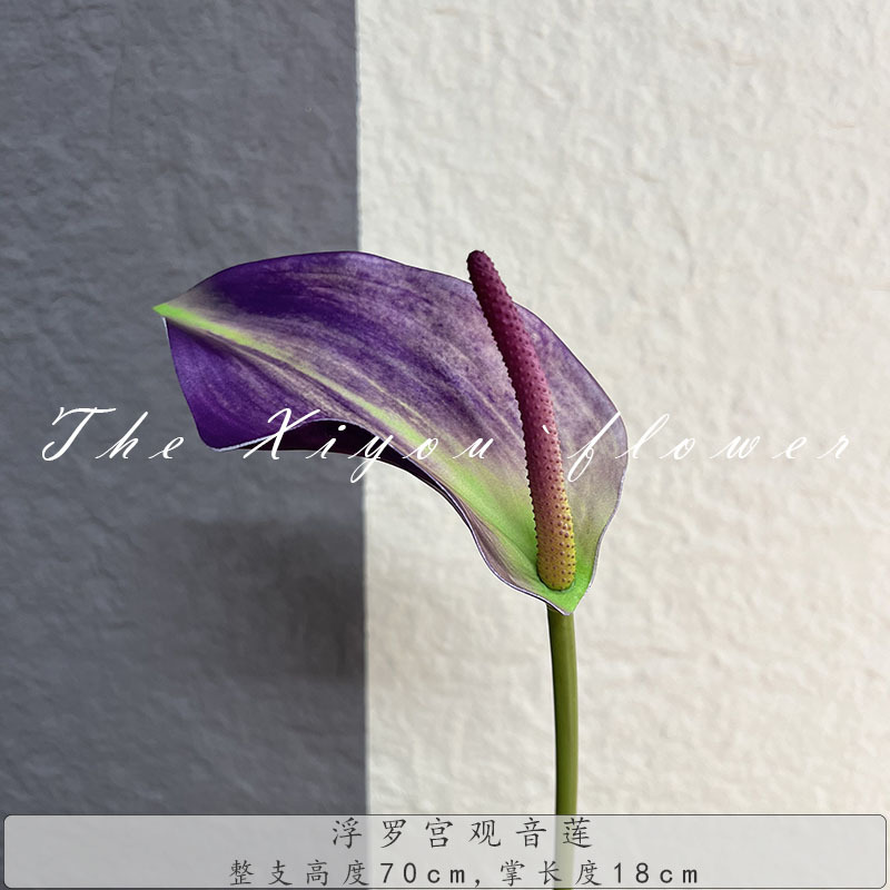 루브르 관음 연꽃