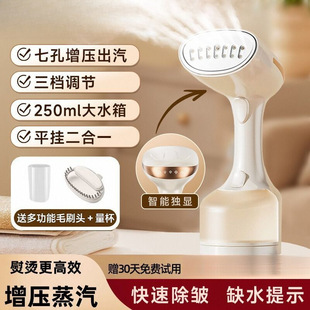 Handheld Garment Ironing Machine Steam Iron Household Small Portable Ironing Clothes Dormitory Ironing Machine Manufacturer
