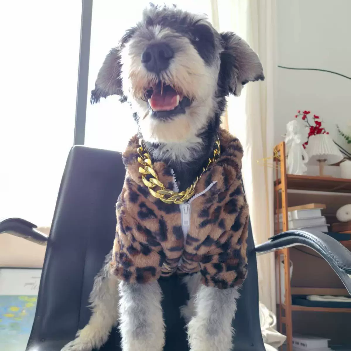 狗狗衣服冬装泰迪衣服冬装豹纹棉衣法斗贵宾比熊博美外套猫咪棉服