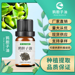 厂家批发  鸦胆子油Brucea Javanica oil压榨鸦胆子油 化妆品原料