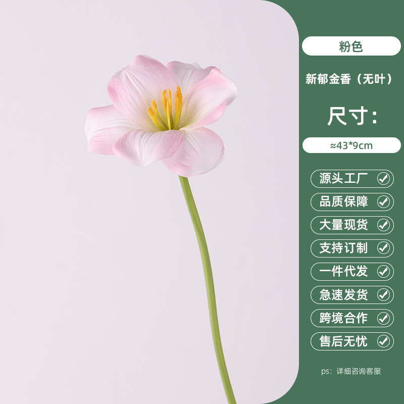 Pink New Tulip (No Leaves)