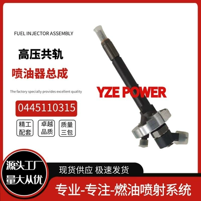 0445110315 New Common Rail Oil pump, nozzle
