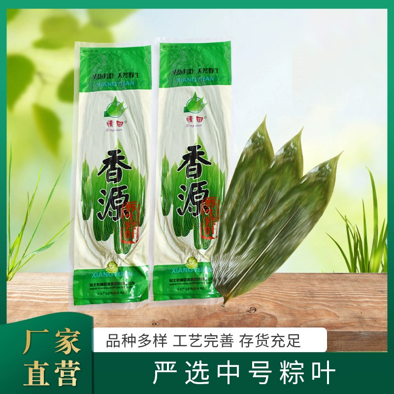 Бамбуковые листья Xiangyuan, тщательно отобранные по качеству, свежесобранные, среднего размера, оптом для приготовления зонгзи.