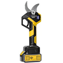 �������Դ����ϵ�y��늄Ӽ������ʽ�����@�ֹ�����֦��������