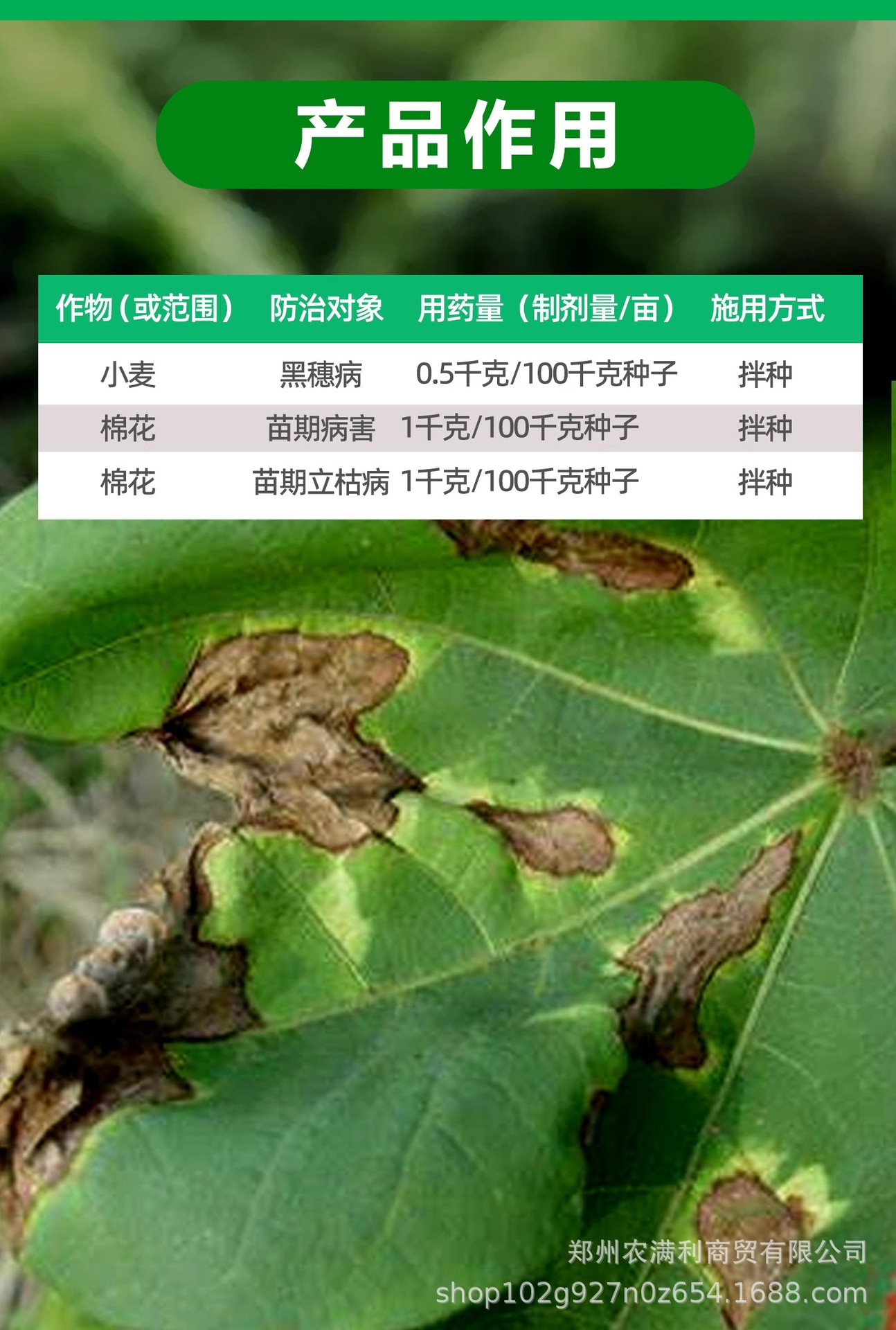 1ff8143131be39d2d8b42933d867b3