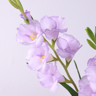 ��֧���m���滨���Wins�L�ҾӾƵ깤�̻�c�廨����쾰�ٻ����l