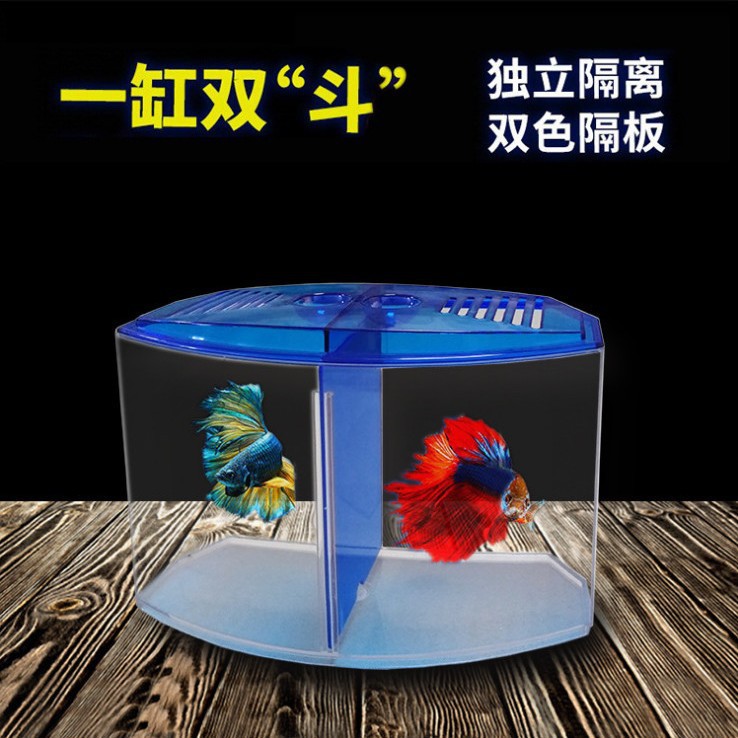 大号双格斗鱼盒生态斗鱼缸迷你水族箱塑料隔离盒繁殖盒斗鱼孔雀鱼