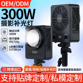 小体积230W户外专业摄影补光灯婚礼拍摄打光灯直播灯影棚工作室灯