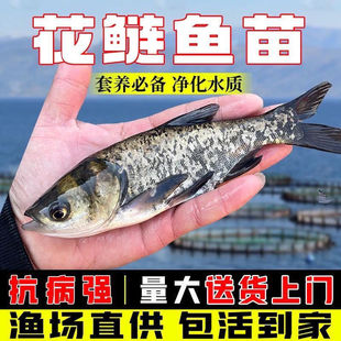 �����~�絭ˮ���Bֳ��Ҏ�����I�~�����^�~���~���^�~����~����