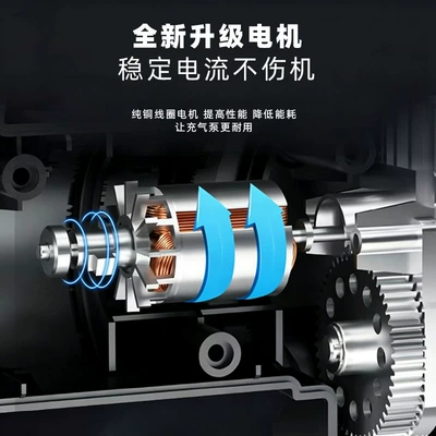 Hava nasosu: Vehicle Air Pump