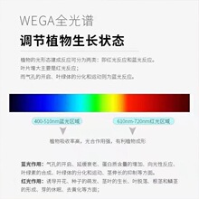 ?̫��ܴ���ֲ�����L��ֲ���a�⻨���߲˷�̫ꖹ� ����ȫ��o