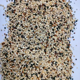 麦类;麦片;面粉