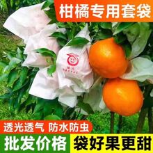 柑橘套袋橘子果袋丑橘橙子耙耙柑防虫防鸟石榴沃柑脐橙水果纸套袋