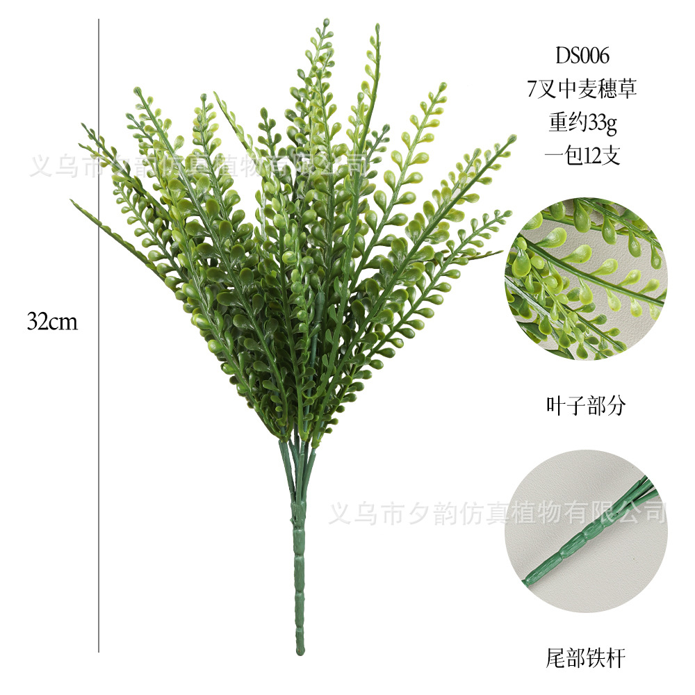 DS006-밝은 녹색 7갈래 밀싹