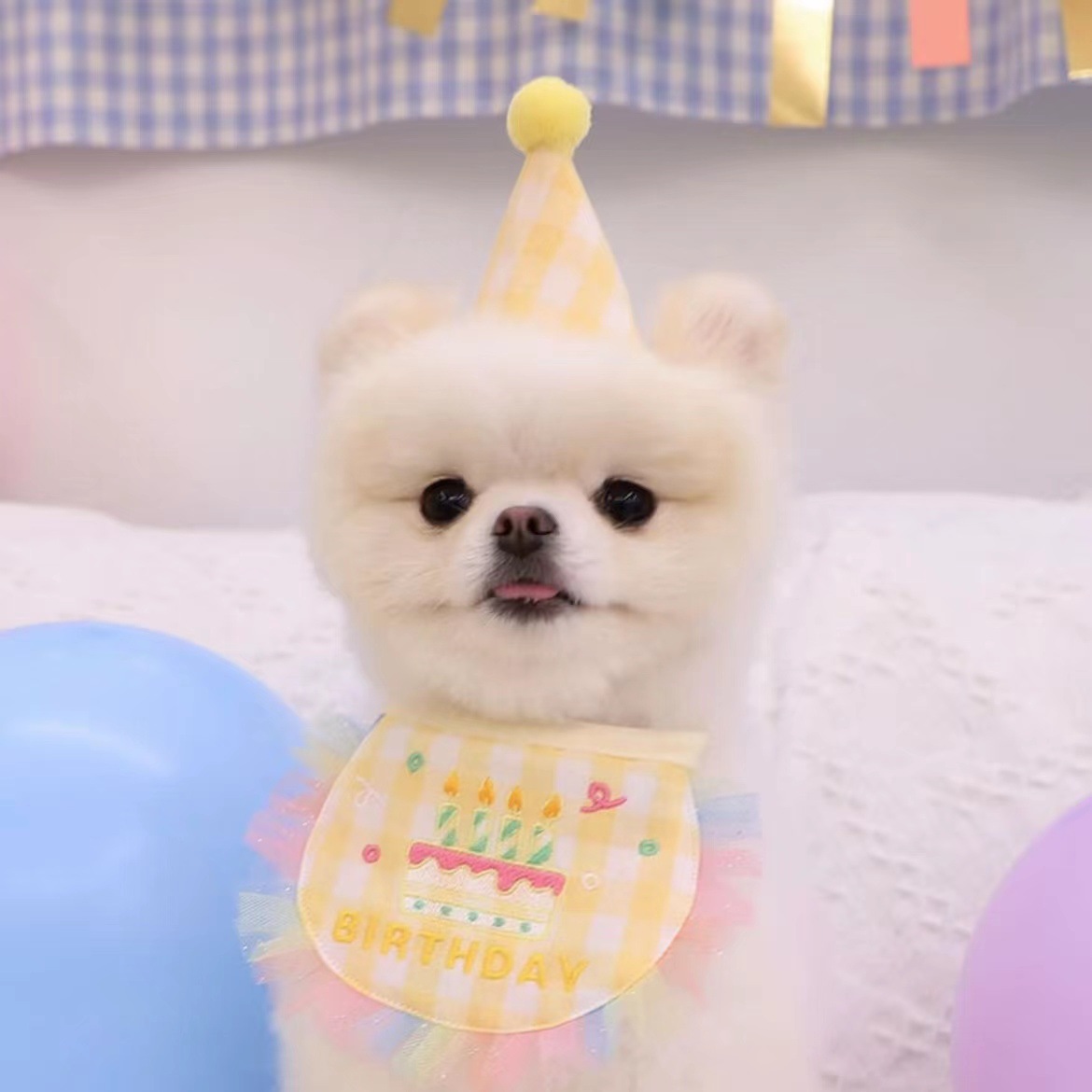 微信图片_20221007221109