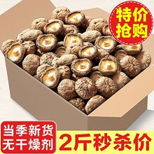 ���o������ء��㹽��؛���o���r���خa���㹽��؛���l����