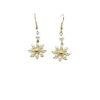 Fashionable brand universal earrings from pearl, Korean style, internet celebrity, simple and elegant design