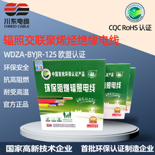 ݗ�ս���ϩ�N�^��늾� WDZA-BYJR-125