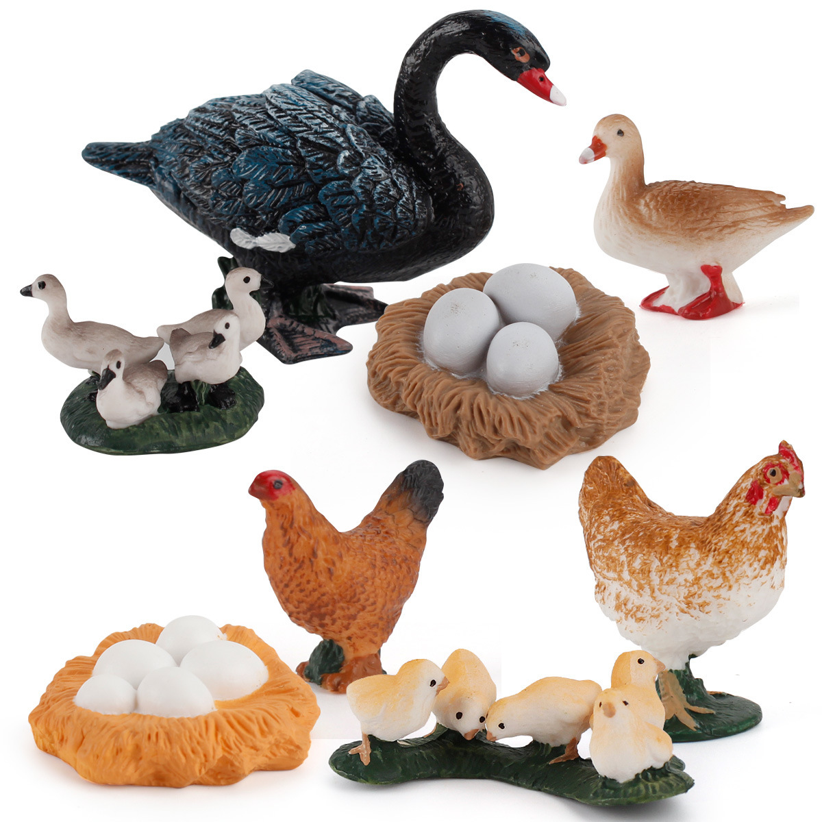 Ciencia y educación transfronterizas para niños Simulación cognitiva Ciclo de crecimiento de plantas y animales Juguetes Gallo Gallo modelo de cisne blanco y negro