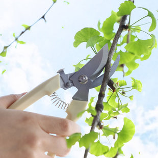 �@�ּ�����֦���޻���֦���ӈ@ˇ����ʡ���������仨�ܼ�