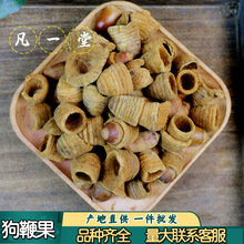 凡一堂 狗鞭果 毛毛果风流虎鞭果干货道地选材可无痕发货