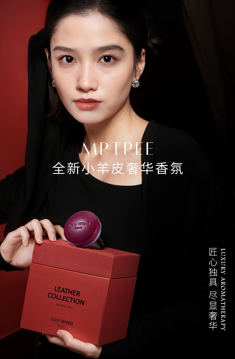 Car Air Vent Fragrance Deodorizer Luxury Scent Gift Box Lambskin Versatile