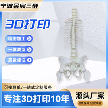 源头厂家高精度光固化金属手板模型定制塑料外壳复模加工3D打印服