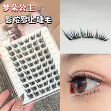 ���乫�� �����_�Ͻ�ë�δطֶ�ʽ���ܼ޽Ӿ��N���˼������۽�ë