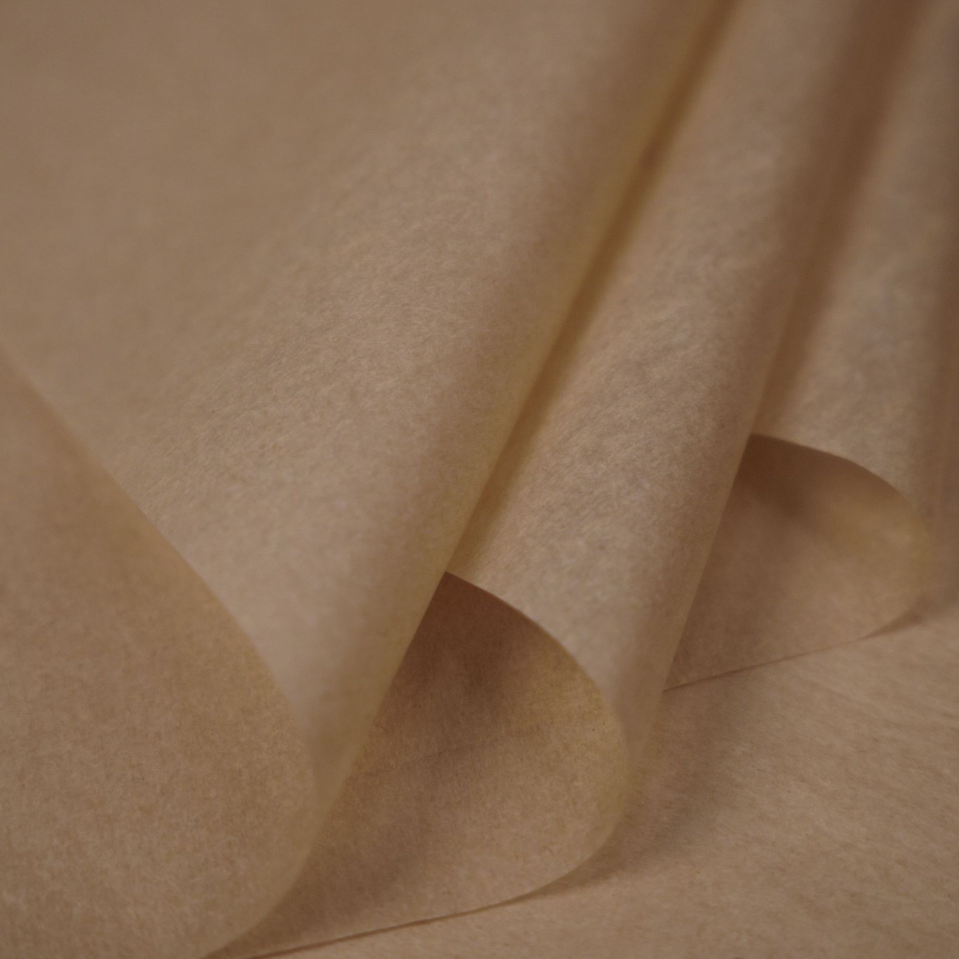 솔리드 컬러 카키 36장