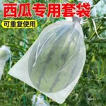 �����״�����Ӭ��������͸��͸�ⶬ��ˮ���Ϲ��״�����