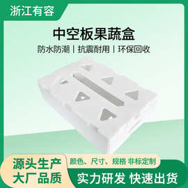 宁波工厂pp中空板盒 塑料盒水果蔬菜包装盒塑料箱中空板隔板定制