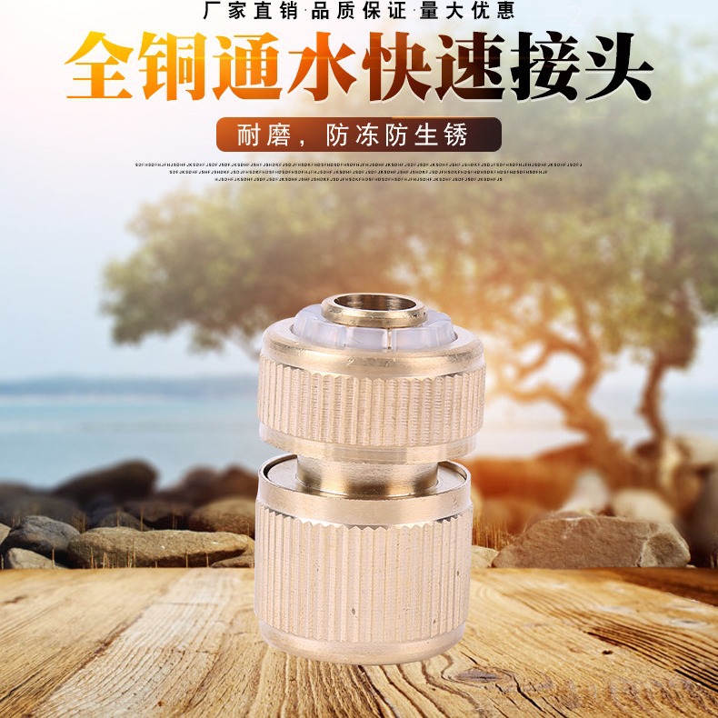 全铜纯铜快速接头4分家用洗车水枪快插接头大全