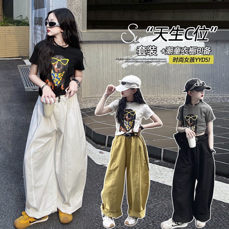 Girls Cartoon Puppy Suit 2025 New Summer Girls Printed Short-Sleeved T-Shirt Easiest for Match Wide-Leg Pants Two-Piece Set