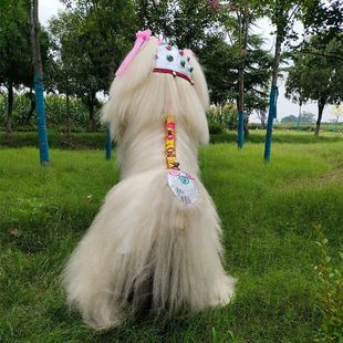 �W�t����ЦĘ���Ӱ�ɫȫ�ת{����ȫţë�����p����{��{�{��С��