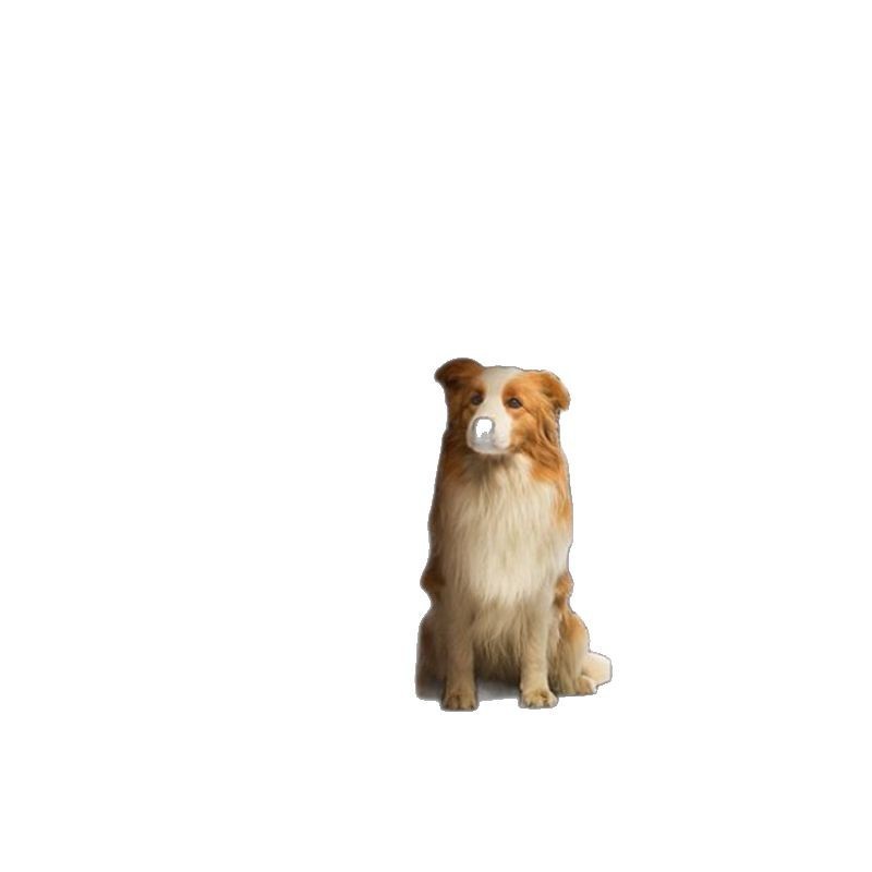 トイレ付き木製犬ケージ、大型犬、中型犬、小型犬用屋内犬小屋、サイドバッテリーゴールデンレトリバーペット収納家具タイプ|undefined