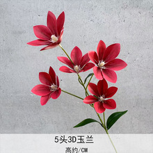 3^m滨 5^mŻYb컨Ҿb[