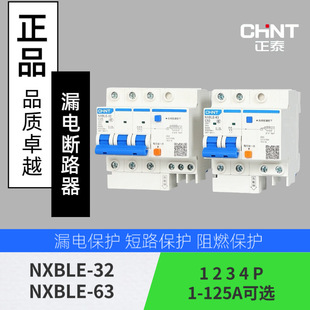 Chint Leakage Protector NXBLE-32/63 Miniature Leakage Circuit Breaker 1P N 2P 3P N 4P