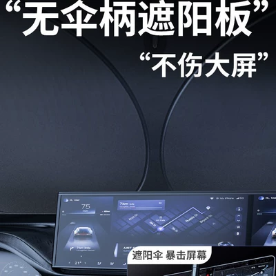 Windshield Sun Protection Curtain — Car snow shield