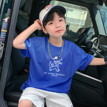 ����}��������ͯ����T�����b2026�¿ͯ������д�ͯ��������