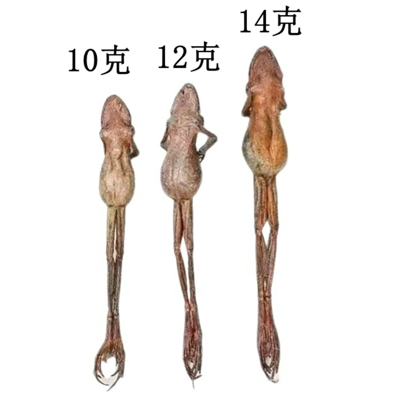 «Норт-Ист Чангбай Маунтин» сильно specialized toad dried forest frog dried forest frog oil snow clam large oil bulk wholesale food health gift box